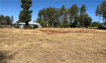 1770 Dean Road, Paradise, California 95969, ,Land,Buy,1770 Dean Road,SN24182762