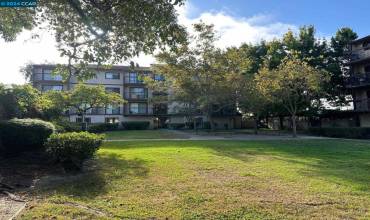 2031 Market AVE 134, San Pablo, California 94806-6403, 1 Bedroom Bedrooms, ,1 BathroomBathrooms,Residential,Buy,2031 Market AVE 134,41071930