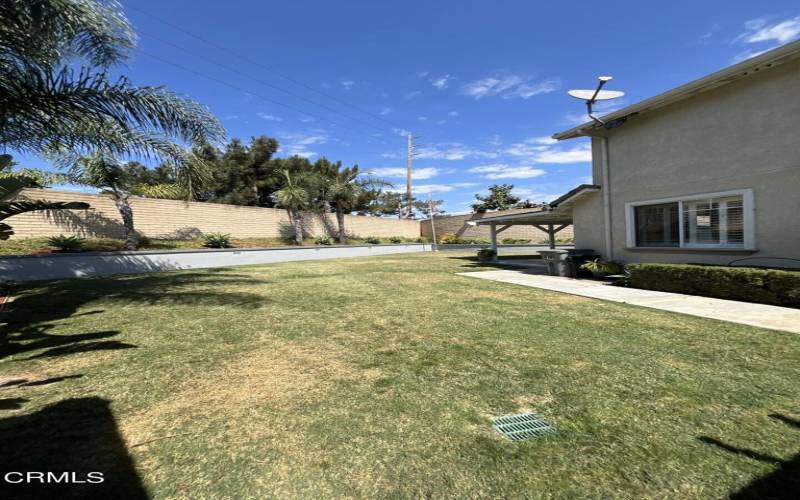 2143 Empresa backyard 5