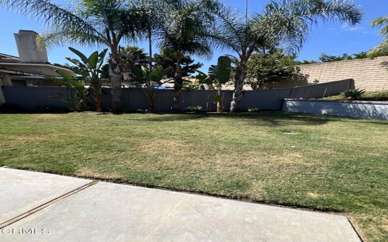 2143 Empresa backyard 4