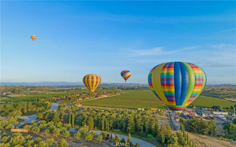 Hot Air Balloons Over Temecula Vineyards