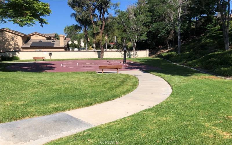 Community Park With Basketball Court