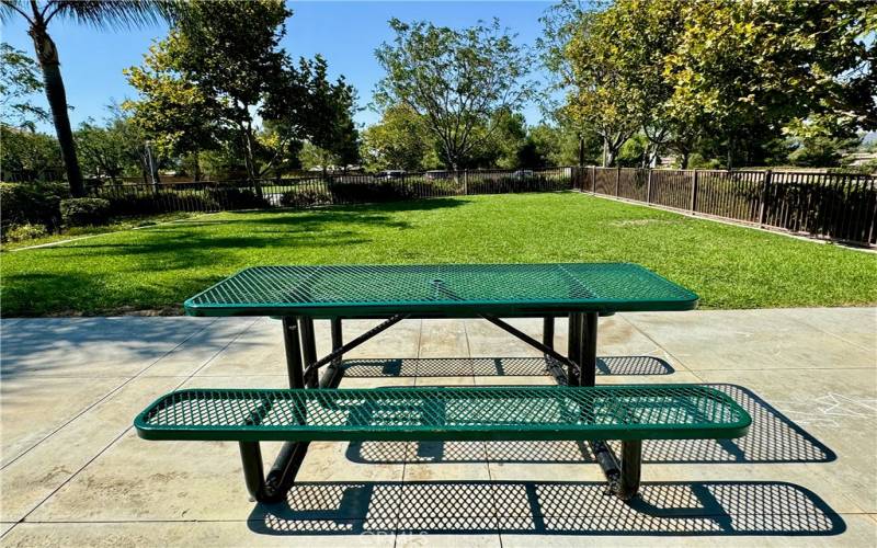 HOA Tot Lot Picnic Table