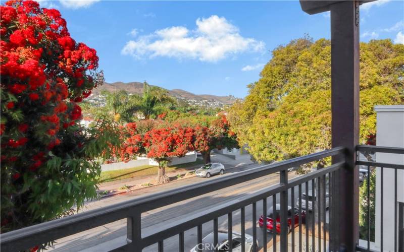 Balcony off primary bedroom with views