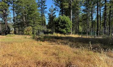 13477 Cirby Creek Road, Oroville, California 95965, ,Land,Buy,13477 Cirby Creek Road,SN24183784