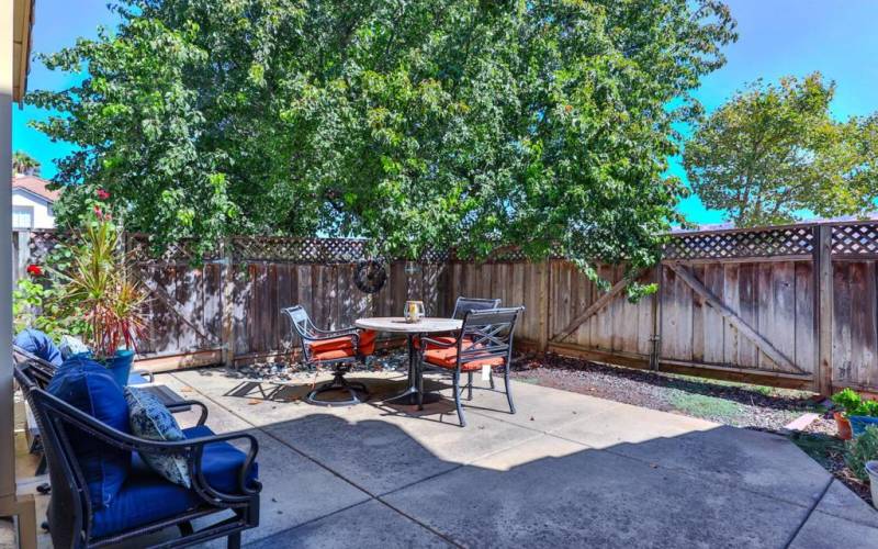 HUGE EXPANDABLE FRONT YARD FEATURING CONCRETE PATIO FOR ALL YOUR ENTERTAINING!