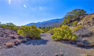 65200 St Pierre Road, Mountain Center, California 92561, ,Land,Buy,65200 St Pierre Road,IV24182052