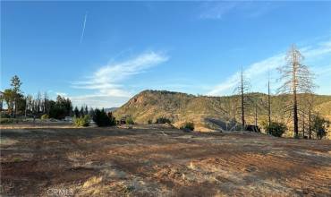 1834 Sunrise Lane, Paradise, California 95969, ,Land,Buy,1834 Sunrise Lane,SN24184302