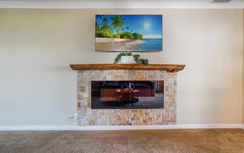 Electric Fireplace