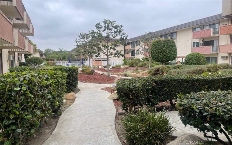 Courtyard with a very well kept greenery