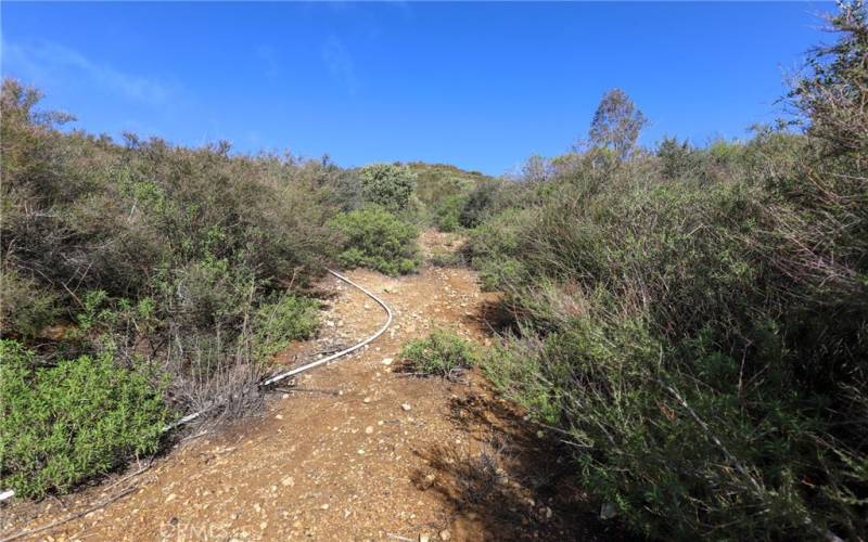 Path leads up to the building area.