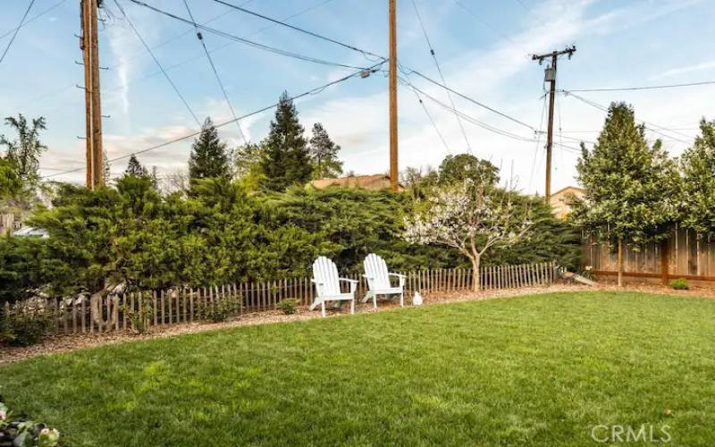 Nice backyard area.