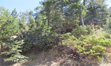 0 CEDAR Avenue, Angelus Oaks, California 92305, ,Land,Buy,0 CEDAR Avenue,EV24184858