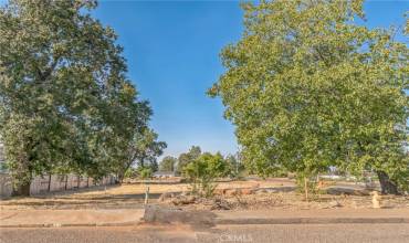 300 Starlight Court, Paradise, California 95969, ,Land,Buy,300 Starlight Court,PV24184895