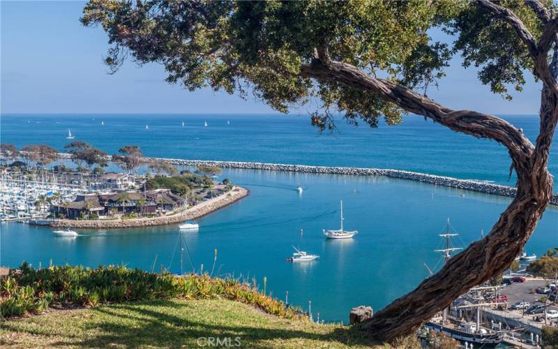 Dana Point Harbor