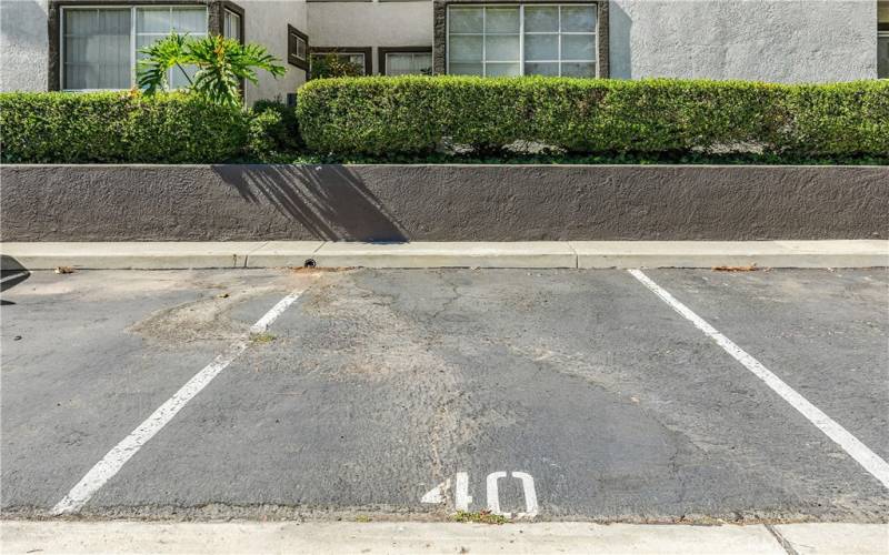 Parking Space & Detached Garage Space