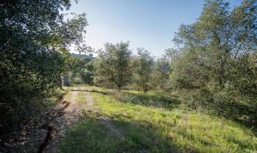 0 McNally Road, Valley Center, California 92082, ,Land,Buy,0 McNally Road,NDP2407996