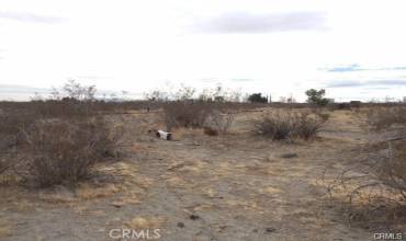 0 Valle Vista Road, Phelan, California 92371, ,Land,Buy,0 Valle Vista Road,CV23052921