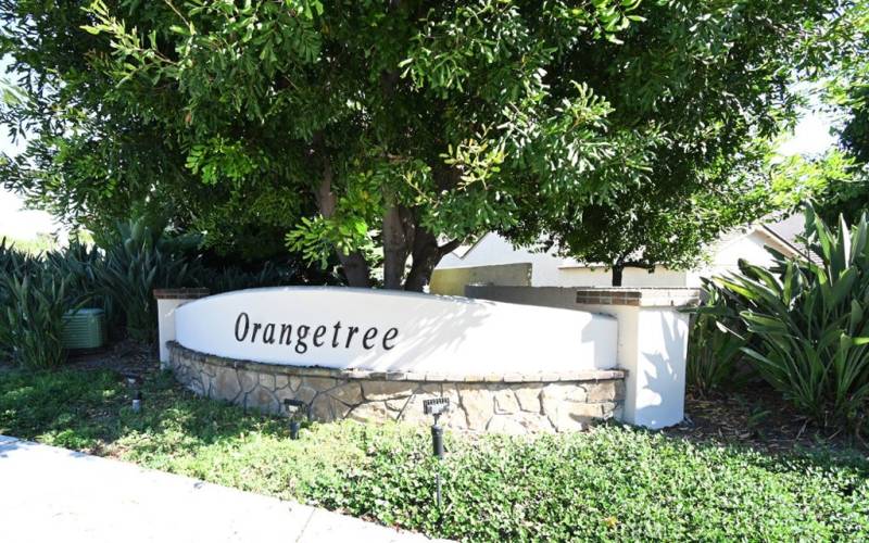 ENTRANCE TO ORANGE TREE