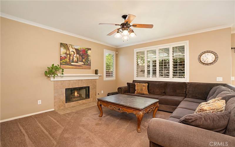 Plantation Shutters, Ceiling Fan and Fireplace