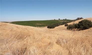 0 Play Doe Road, Paso Robles, California 93446, ,Land,Buy,0 Play Doe Road,NS24174389