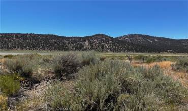 0 11th, Baldwin Lake, California 92314, ,Land,Buy,0 11th,EV24136522