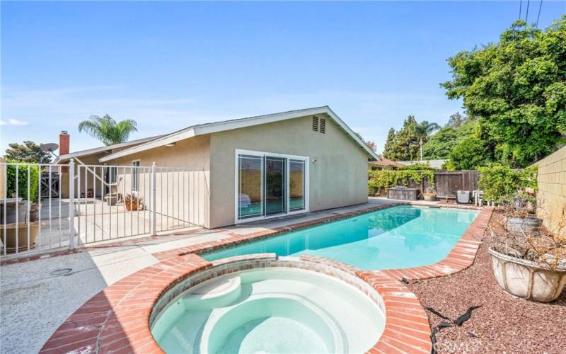 Pool/Backyard