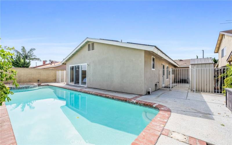 Pool/Backyard