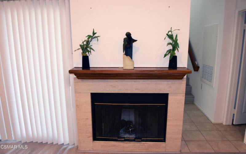 Fireplace Area