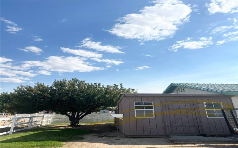 Backyard and shed