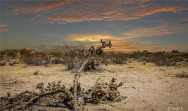 63541 Jadeite Street, Joshua Tree, California 92252, ,Land,Buy,63541 Jadeite Street,JT24176372