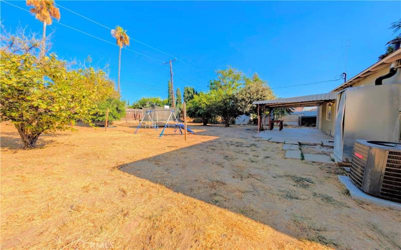 Backyard (With Fruit Trees!)