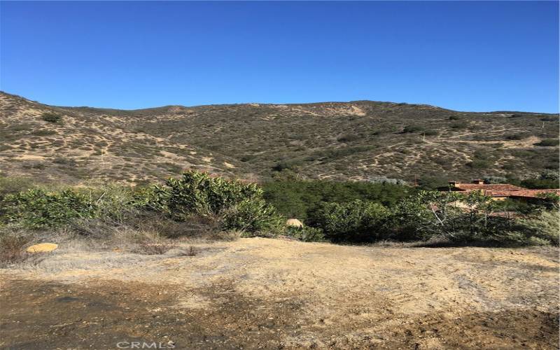 Walking path to the top for views to Catalina