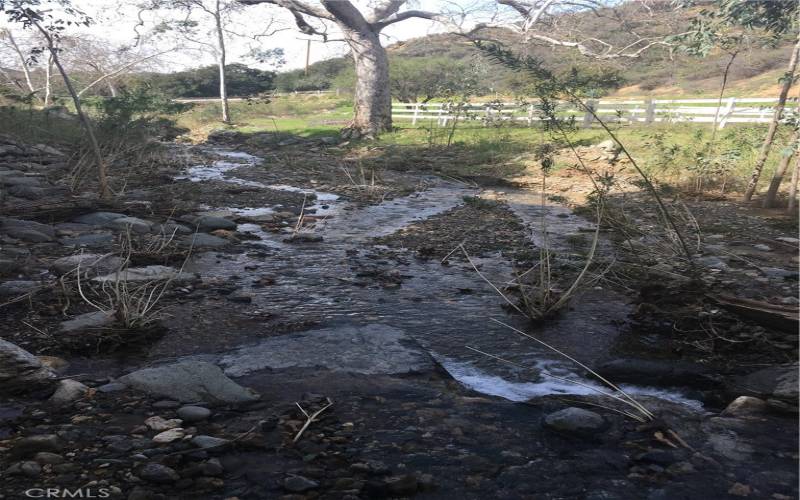 Creek during winter