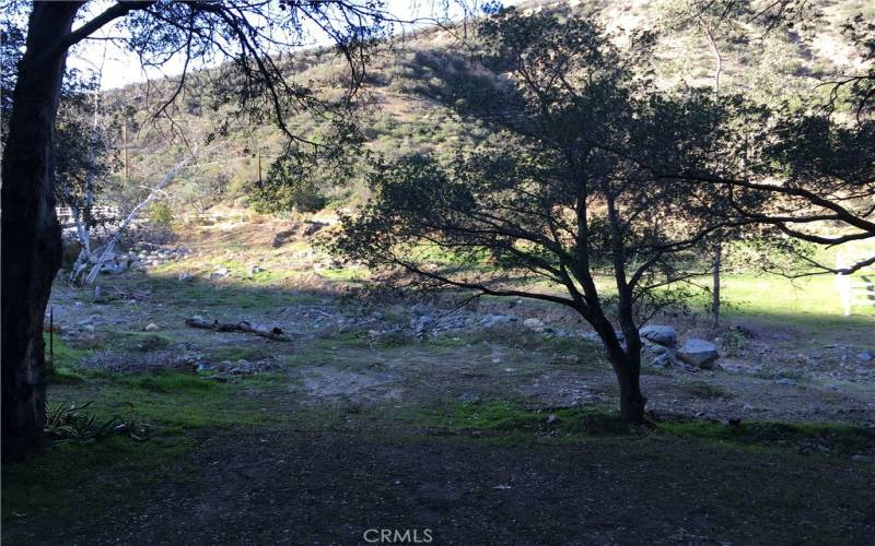 View toward creek