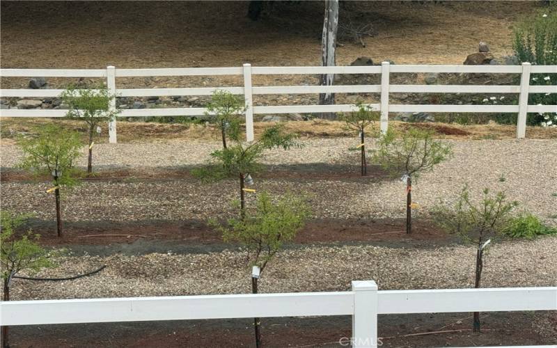 Orchard with farming machinery gate