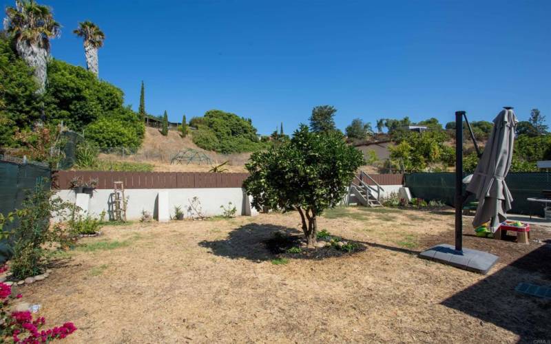 Large back yard 2 levels.