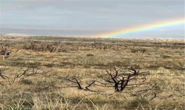 0 Maury Avenue, California City, California 93501, ,Land,Buy,0 Maury Avenue,SR24185008