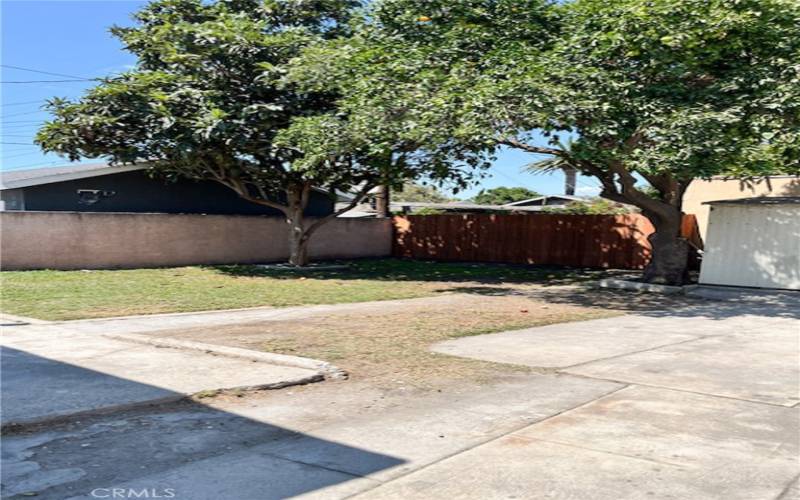 Backyard has fruit trees and extra storage sheds