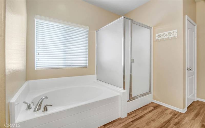 Downstairs Primary Suite Soaking Tub and Shower