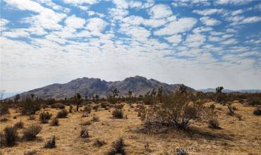 60220 Drexel Road, Joshua Tree, California 92252, ,Land,Buy,60220 Drexel Road,JT24186188