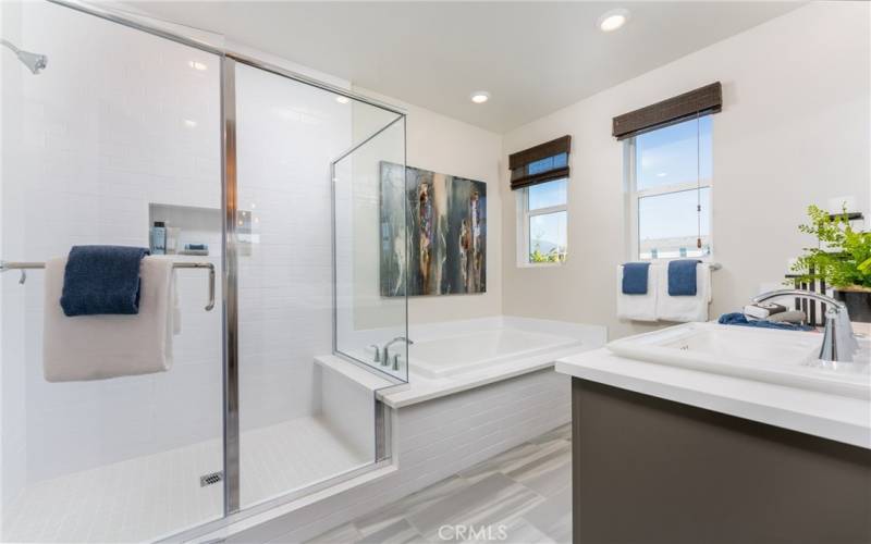 Primary bathroom with spacious walk in shower and Separate bathtub.