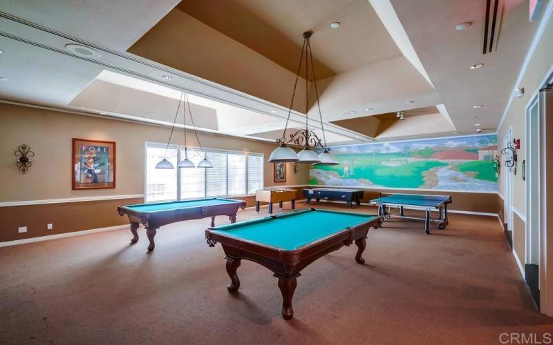 Community Center Billiards