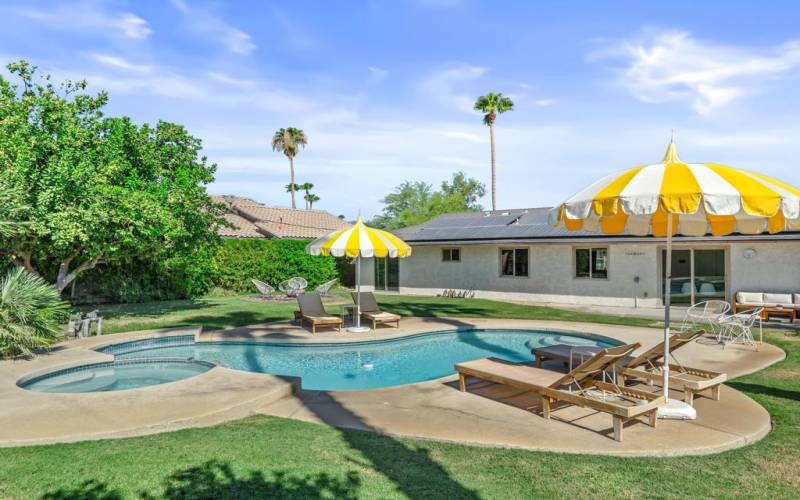 Backyard Pool Area