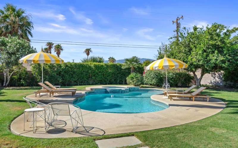 Backyard Pool