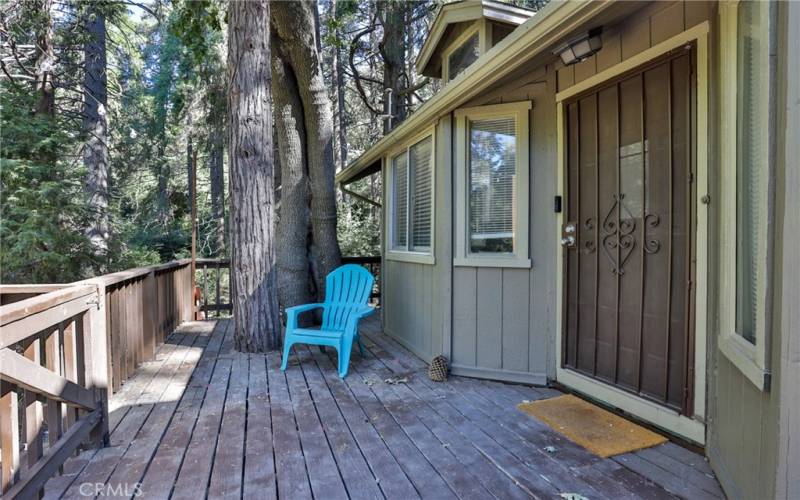 Front door and deck