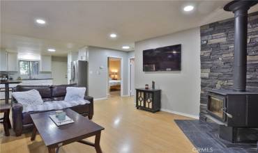 Living room and kitchen