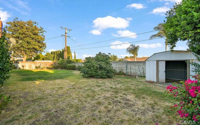 Backyard with shed