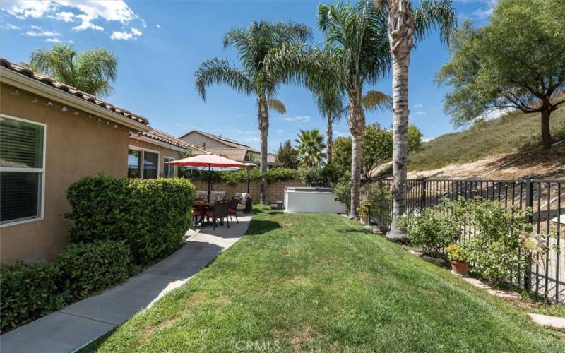 Backyard cemented walkway