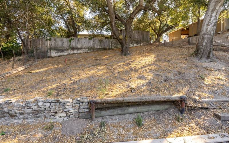 oak studded spacious backyard